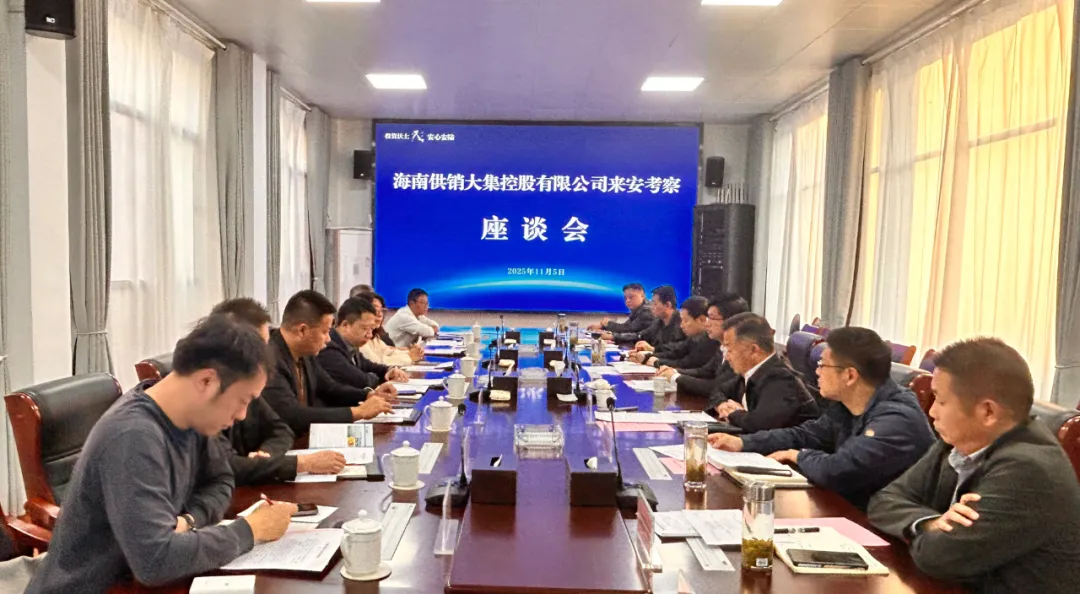 1765527590894136.png fa05ad18-d494-4f48-b50c-fc874b1fad08.png